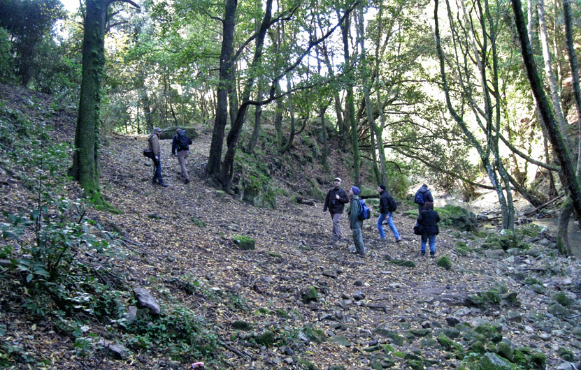 Incontro di Natura Mediterraneo a Roma (FOTO e VIDEO)